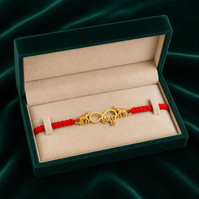 ಅಣ್ಣ Rakhi