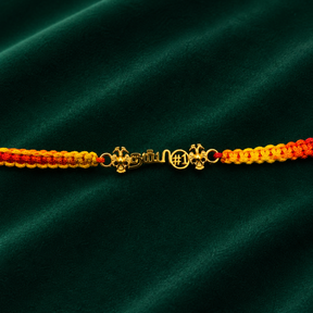 தம்பி Rakhi