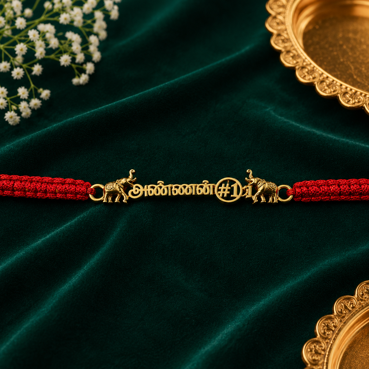 அண்ணன் Rakhi